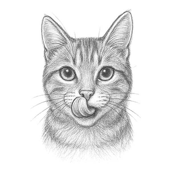 Chat