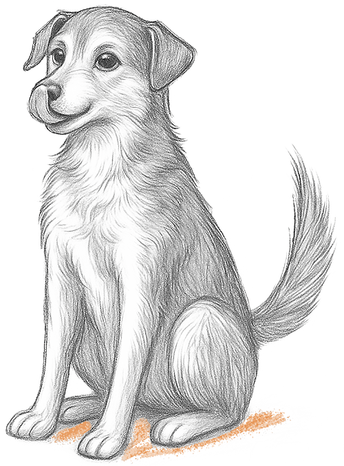 Moyen et Grand chien